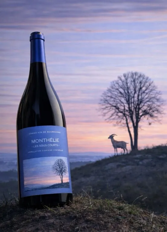 Drunk Goat, una bottiglia in primo piano e una capra all'orizzonte al tramonto
