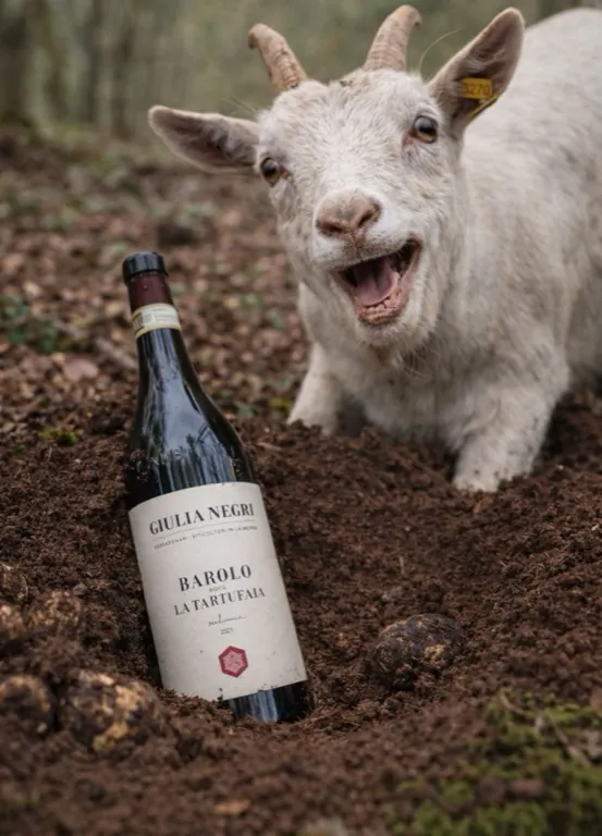 Drunk Goat, una capra bianca a bocca aperta accanto a una bottiglia poggiata nel sottobosco